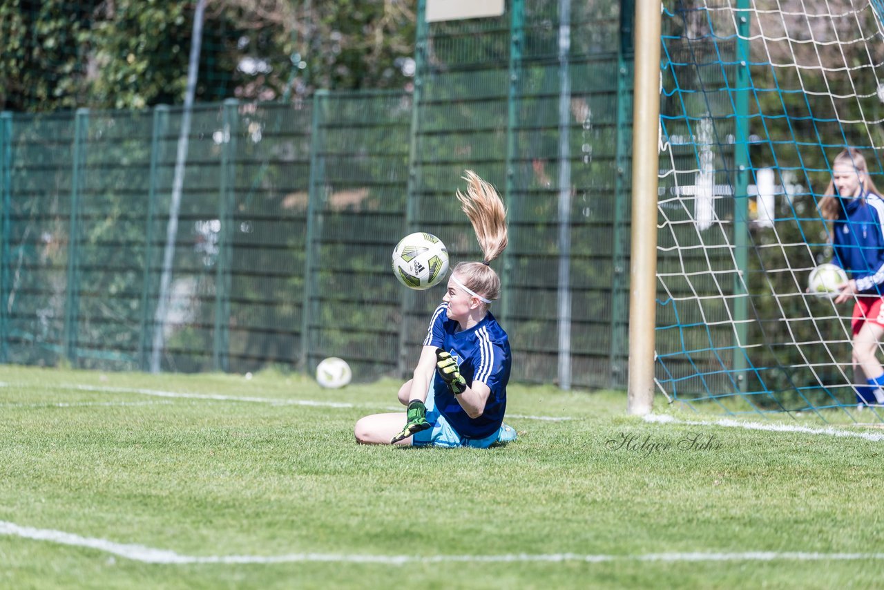 Bild 171 - wBJ Hamburger SV - WfL Wolfsburg : Ergebnis: 2:1